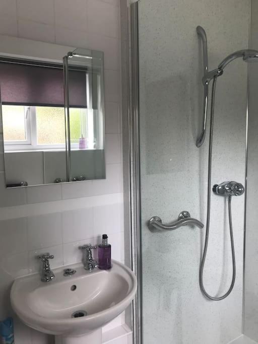 No 96 Chapel Lane - Self Contained Cottage In The Heart Of Butleigh Εξωτερικό φωτογραφία